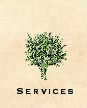 Tree Service San Jose